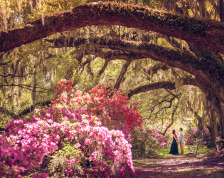 Magnolia Plantation and Gardens