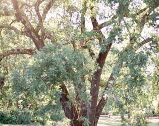 Calistoga Ranch