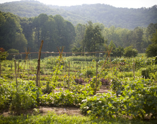 Blackberry Farm