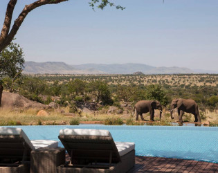 Four Seasons Safari Lodge, Serengeti