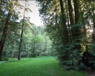 Glen Oaks Big Sur (hotel) & Big Sur Roadhouse (restaurant)