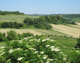 Abbazia di San Giusto