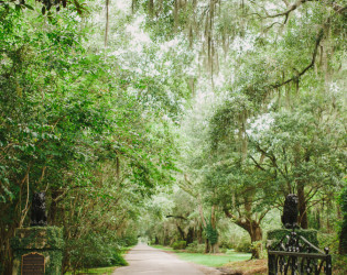 Magnolia Plantation and Gardens