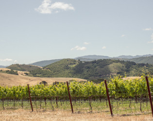 Holman Ranch Vineyards & Winery