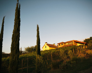 The Villa at Calasa Olive Farm