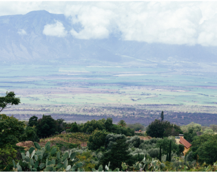 The Villa at Calasa Olive Farm