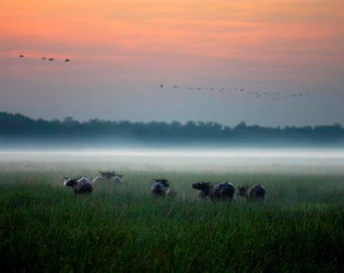 Bamurru Plains