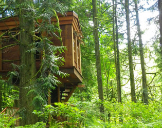 TreeHouse Point