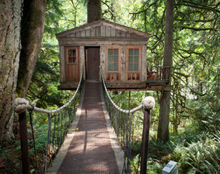 TreeHouse Point