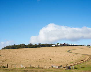 Spicers Peak Lodge