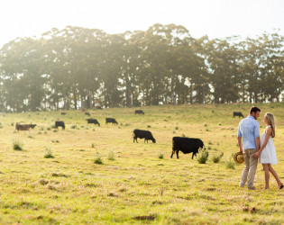 Spicers Peak Lodge