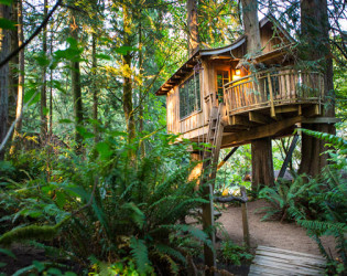 TreeHouse Point