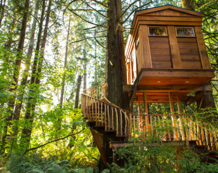 TreeHouse Point