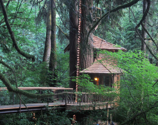 TreeHouse Point