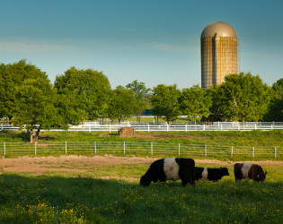 Fearrington Village