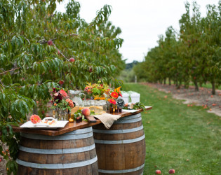 Sweet Berry Farm