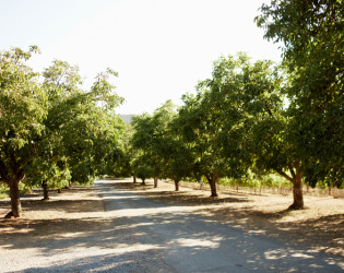 Annadel Estate Winery