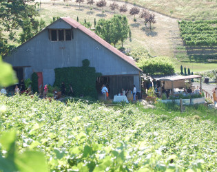 Taber Ranch Vineyard & Event Center