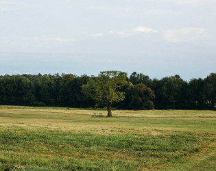 Sweet Meadow Farm and HomePlace