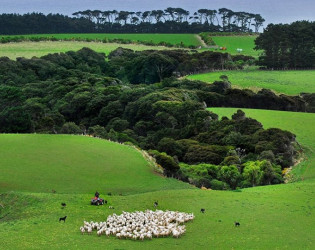 Wharekauhau Country Estate