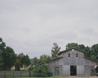 Morning Glory Farm