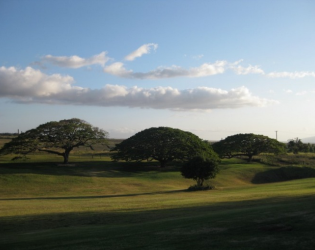 Hui No'eau Visual Arts Center - Maui