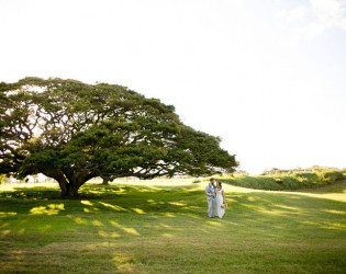 Hui No'eau Visual Arts Center - Maui