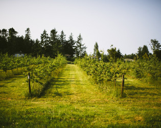 Sea Cider Farm & Ciderhouse