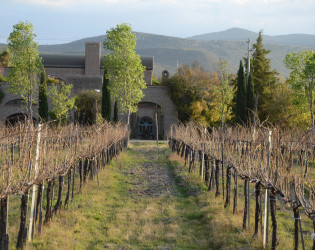 Bodega Dos Búhos