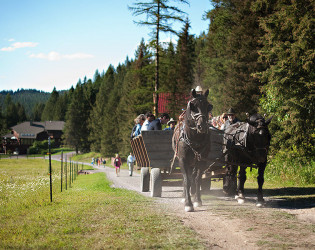 The Bar W Guest Ranch