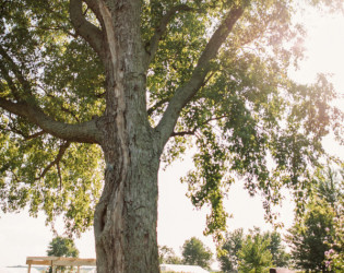 Heritage Prairie Farm