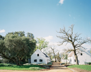 Babylonstoren