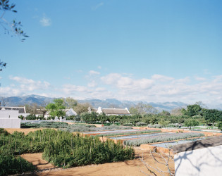 Babylonstoren