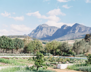 Babylonstoren