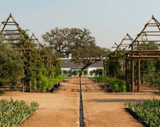 Babylonstoren