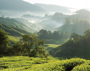 Four Seasons Resort Chiang Mai