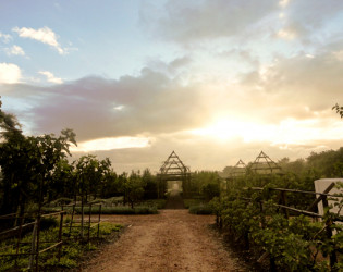 Babylonstoren