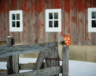 The Barn at Allen Acres