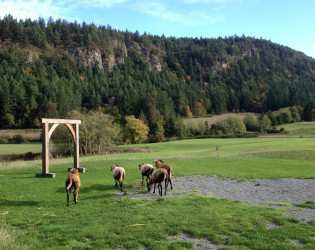 Bird's Eye Cove Farm