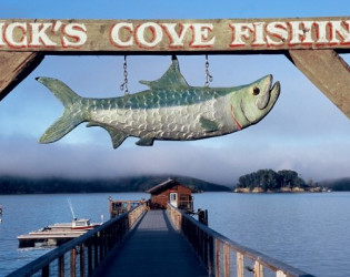 Nick's Cove