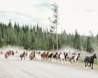 Turpin Meadow Ranch