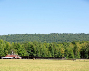 The Farm Rome Ga