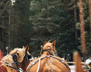 Lone Mountain Ranch