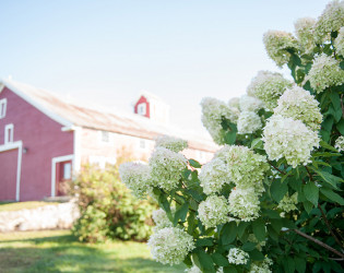 Maple Rock Farm