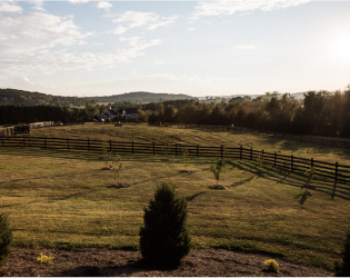 Hermitage Hill Farm and Stables