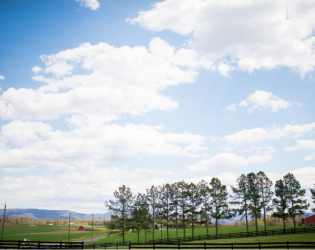 Hermitage Hill Farm and Stables