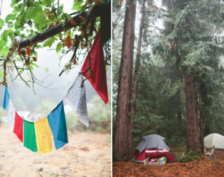 Amphitheatre of the Redwoods at Pema Osel Ling