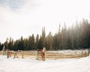 Lone Mountain Ranch