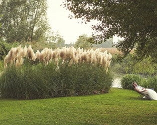 La Finestra Sul Fiume