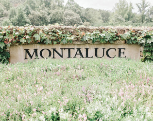 Montaluce Winery